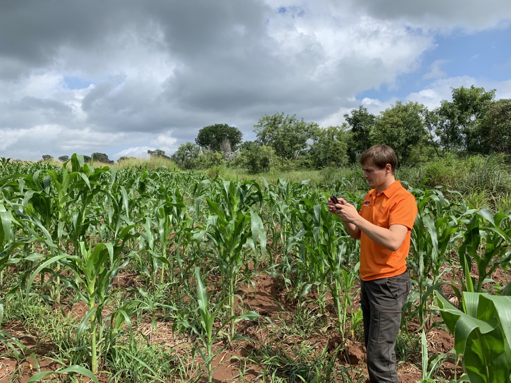 Organic farming