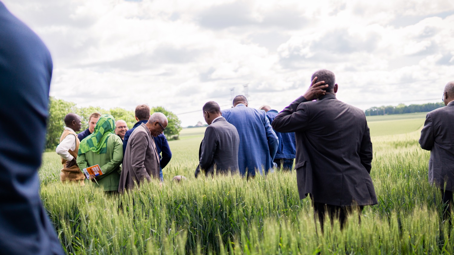 Agricultural study tour in France - Field visit