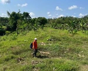 site assessment and Feasibility Study Corn production for feedstuff industry